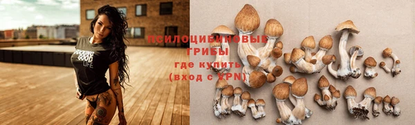 а пвп мука Аркадак