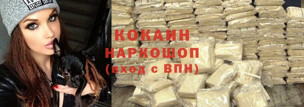 молекула духа Кулебаки