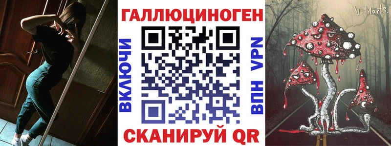 Галлюциногенные грибы GOLDEN TEACHER  Новоалтайск 